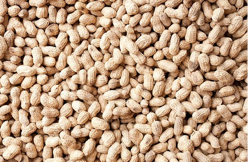 allergie-alimentaire-arachide