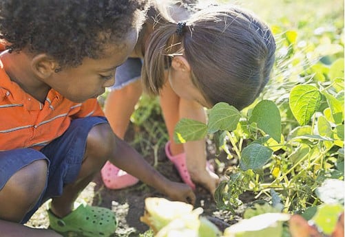 jardinage-enfant-securite